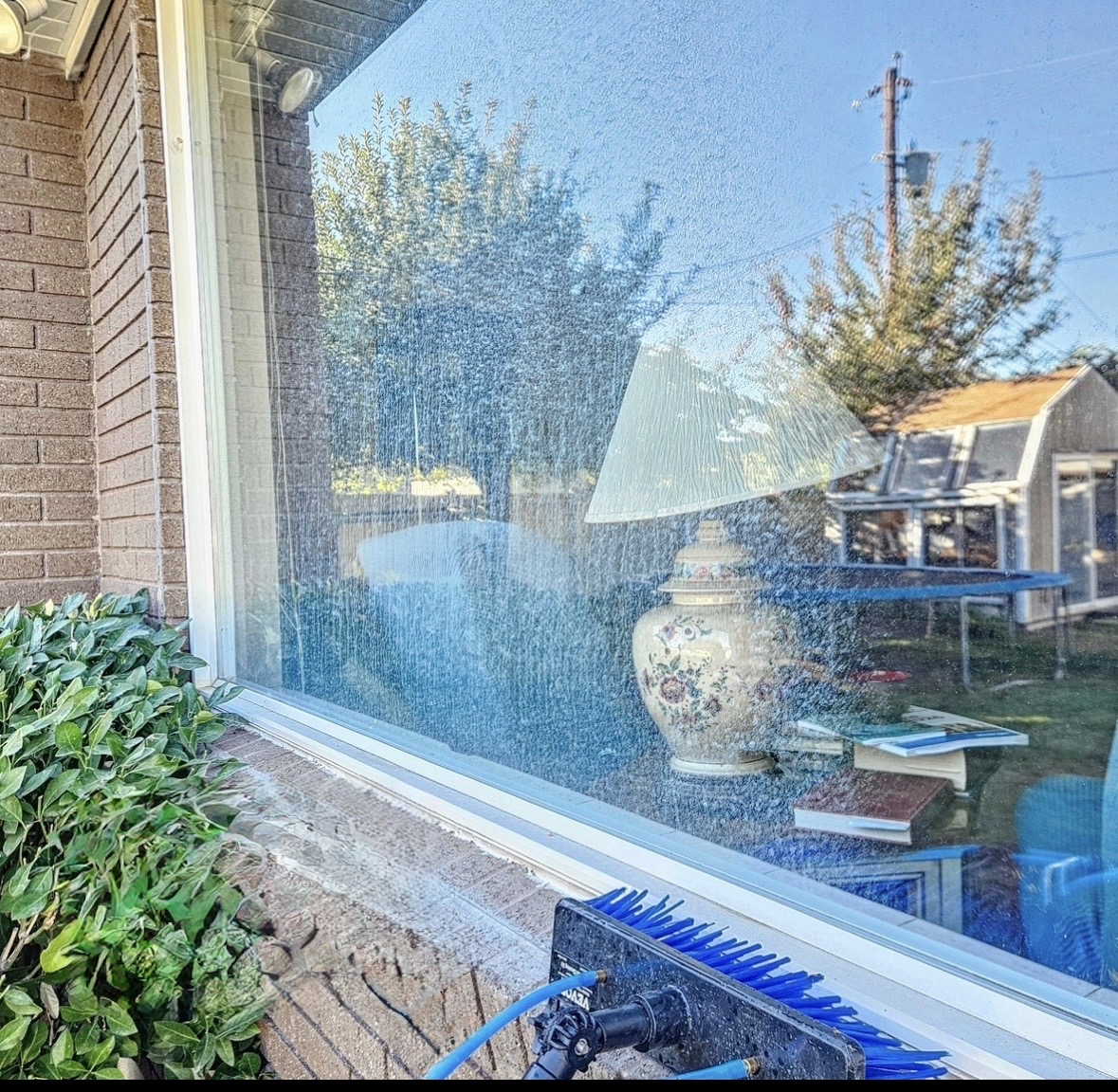 Vista Windows team cleaning windows