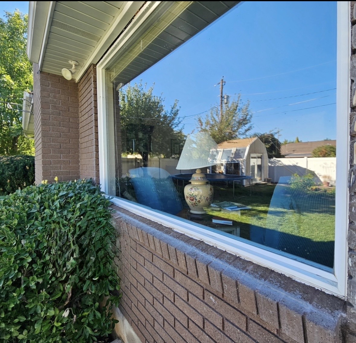 Vista Windows team cleaning windows